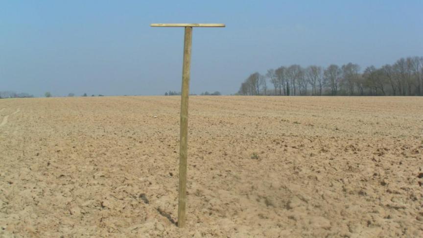 Het Bieteninstituut raadt aan zitstokken voor roofvogels te plaatsen.