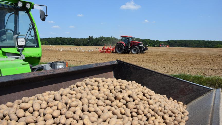 Belpotato.be vraagt met aandrang dat alle partijen de gemaakte en voorziene overeenkomsten nakomen.