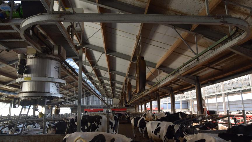 Veel processen op het Koeweidehof zijn geautomatiseerd, zoals deze strooiselmachine. Dat vraagt natuurlijk veel energie, die de pocketvergister op het bedrijf voor een stuk levert.