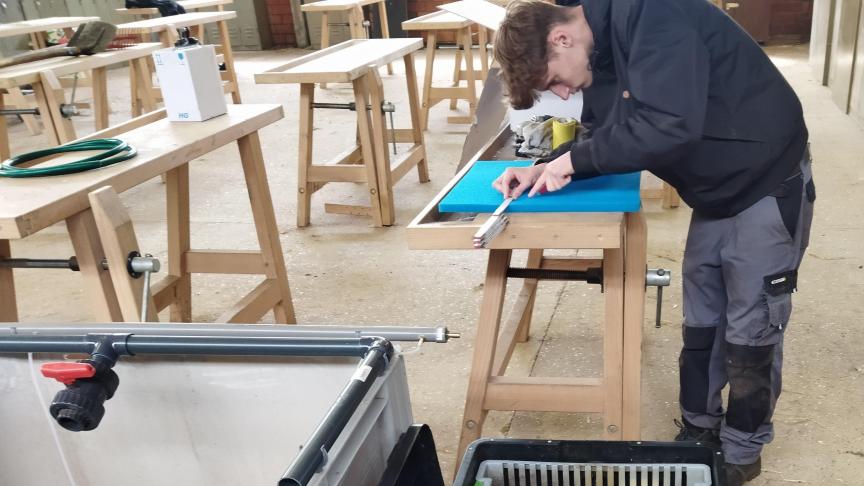Aquaponics laat de leerlingen kennismaken met duurzame landbouw op een kleine oppervlakte.
