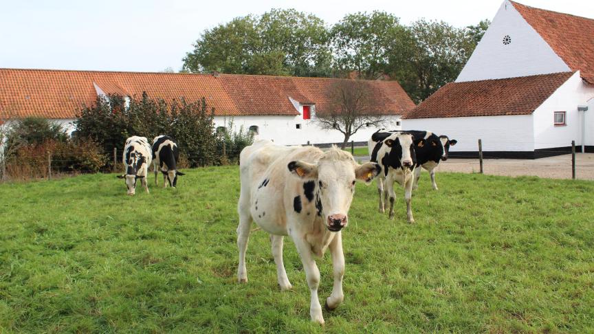 We willen beweiden werkbaar maken, want daar heb ik ook wel een aantal zorgen rond gehoord die bij mij de wenkbrauwen deden fronsen”, zegt minister Brouns.