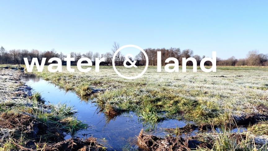 Beeld van vloeiweiden in Lommel.