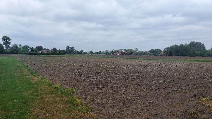 De afgelopen 2 maanden is er uitzonderlijk weinig regen gevallen in Vlaanderen.
