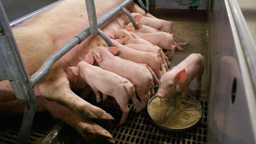 De totaal geëxploiteerde emissies mogen niet hoger zijn dan de vergunde emissies.