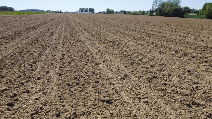 Ons land kreunt onder een lange droogte.