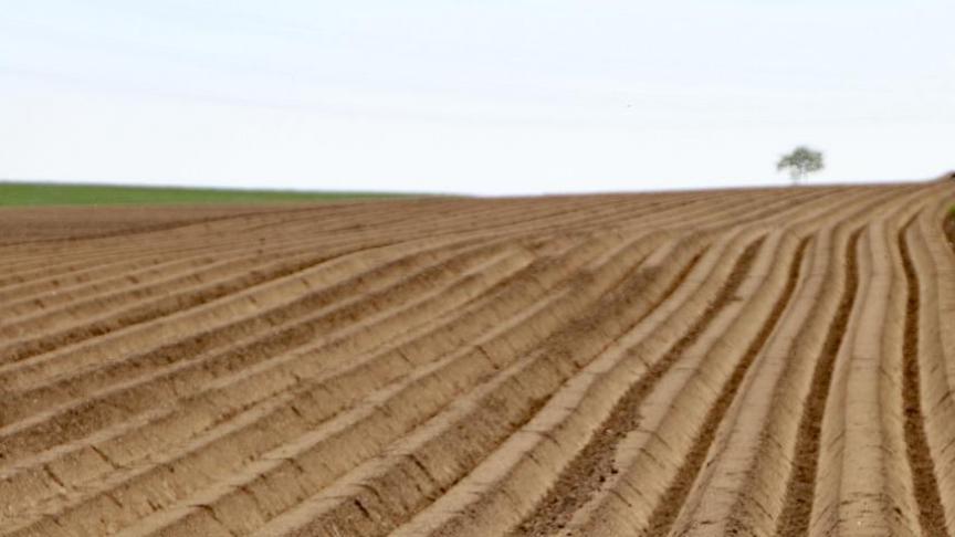 De nieuwe droogtemaatregelen moeten het droogvallen van de waterlopen tegengaan.
