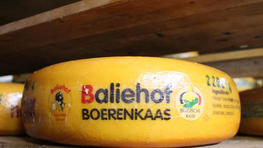 Vorig jaar werd ruim 137.400 ton kaas gemaakt in België.