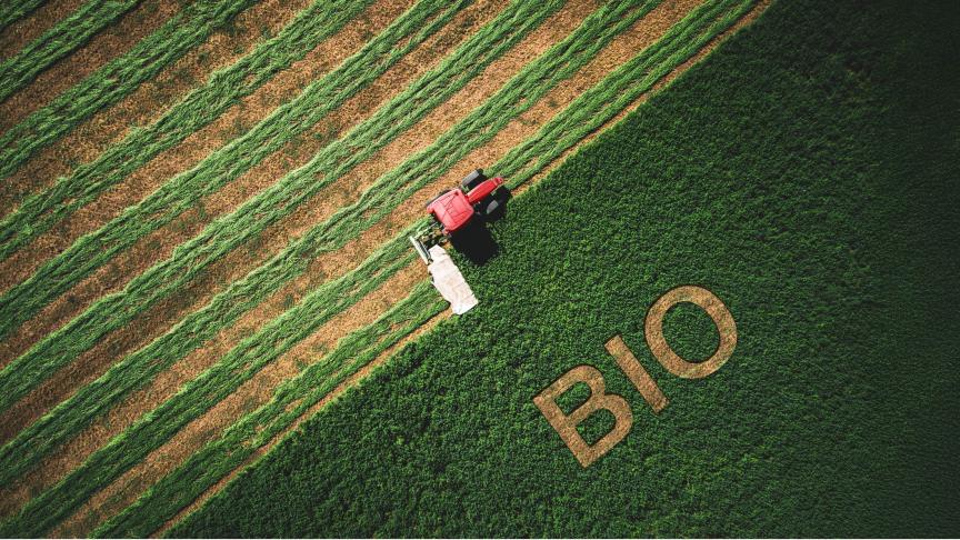 Omschakelen naar bioproductie is een werk van lange adem, met een niet zo evidente omschakelingsperiode.