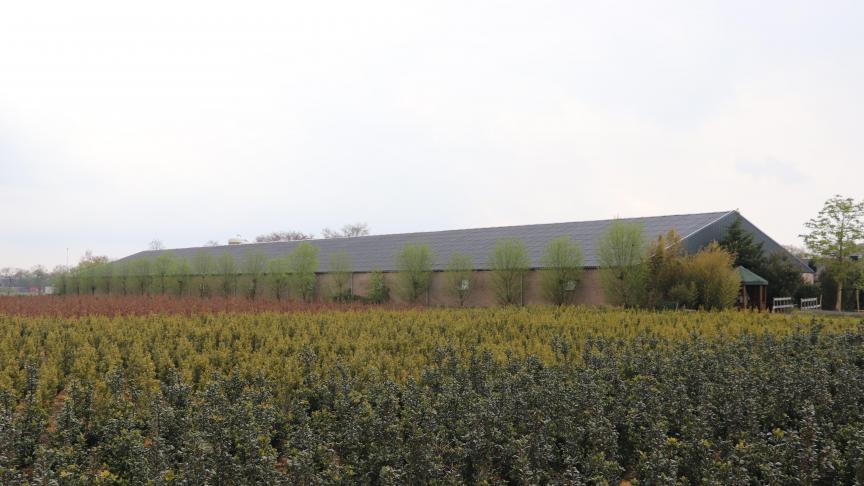 In vergelijking met het Nederlandse geurkader wordt het Vlaamse kader beschouwd als streng.
