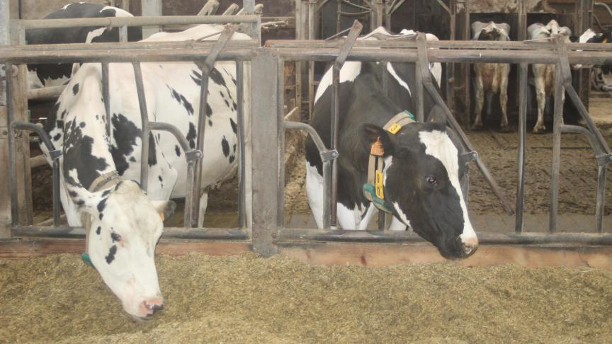 Het ontslagnemende Nederlandse kabinet zal definitief de rekenkundige ondergrens van 1 mol per hectare per jaar invoeren.