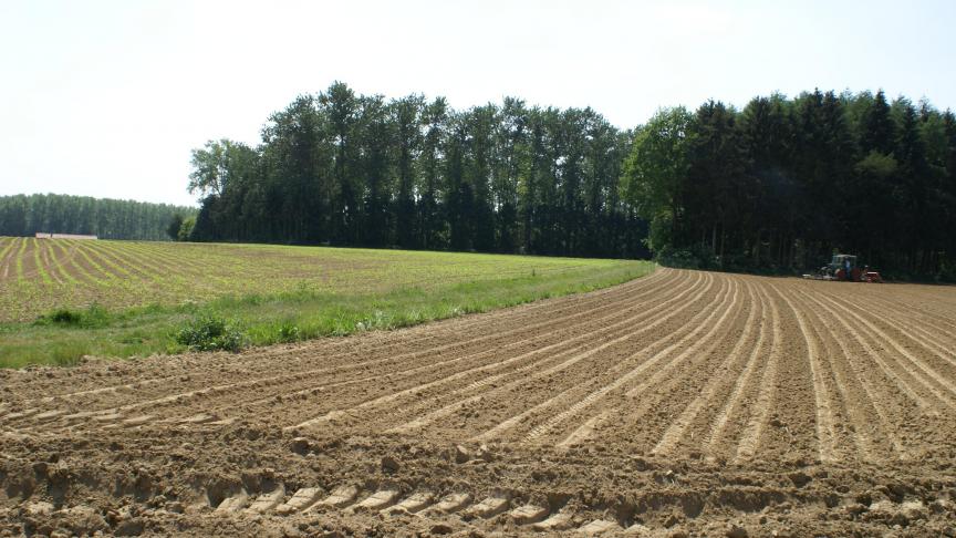 De pachter die tijdens de pachtperiode werken heeft uitgevoerd, heeft recht op een bijkomende vergoeding.