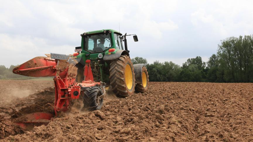 Uit de voorlopige cijfers van de verzamelaanvraag 2025 besluit het Agentschap Landbouw en Zeevisserij dat het areaal granen zich dit jaar herstelt na een moeilijk 2024.