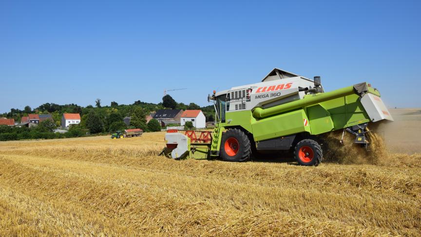 De wereldwijde oogst van granen zou volgens een rapport van de voedselFAO dit jaar 2.925 miljoen ton kunnen bereiken.
