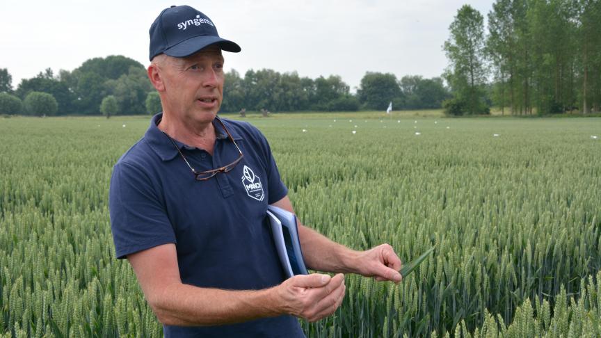“Het fungicide Aquicine Duo combineert zwavel met kaliumfosfonaten en wordt vooral in T1 gecombineerd met triazolen of strobilurines ter bestrijding van septoria en roesten”, aldus adviseur Akkerbouw Mario Lagrou.