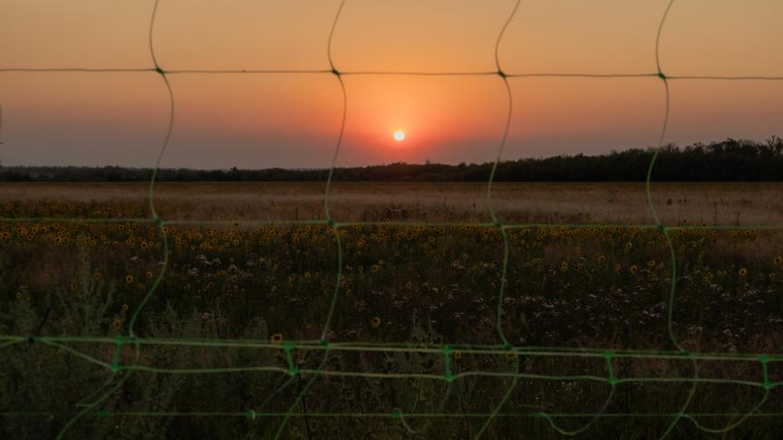Het principehandelsakkoord tussen de EU en Oekraïne stelt voor om de quota voor een aantal landbouwproducten te verhogen ten opzichte van 2016.
