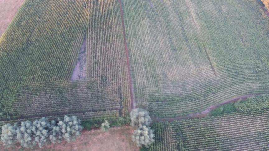 Volgens de conceptnota wordt 30.000 ha in Vlaanderen tot open ruimte herbestemd: 15.000 ha wordt natuur en 15.000 ha wordt landbouwgrond.