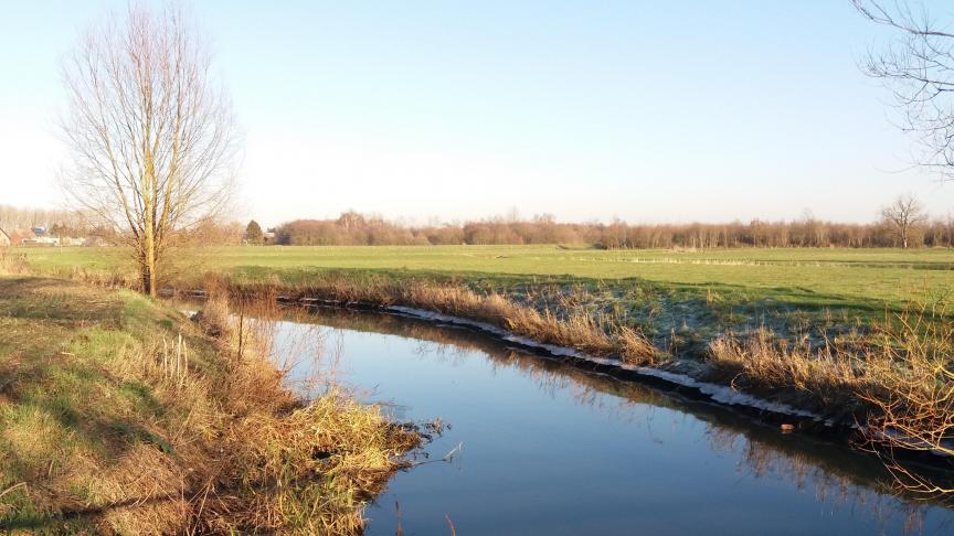 Opnieuw was de triazoolvervuiling in het drinkwater in de Westhoek een hot gespreksonderwerp in de commissie Leefmilieu.