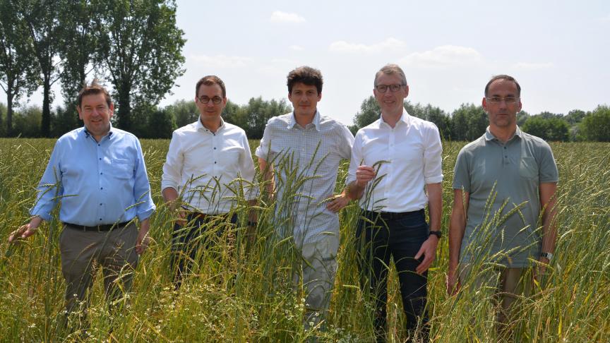 V.l.n.r.: De Vlaamse cd&v-parlementsleden Bart Dochy en Stijn De Roo, biolandbouwer Félix de Bousies en Joris Relaes en Koen Willekens (beiden van ILVO) op een tarweproefveld in Hansbeke.