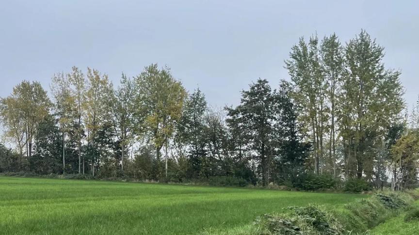 Ruim 23 km nieuwe houtkanten worden aangelegd.