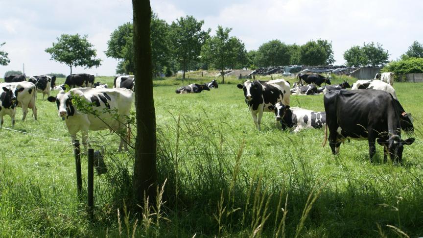 Rond het beweiden in groep zal er worden gewerkt met een autocontrole, waardoor de administratieve lasten sterk verlagen.