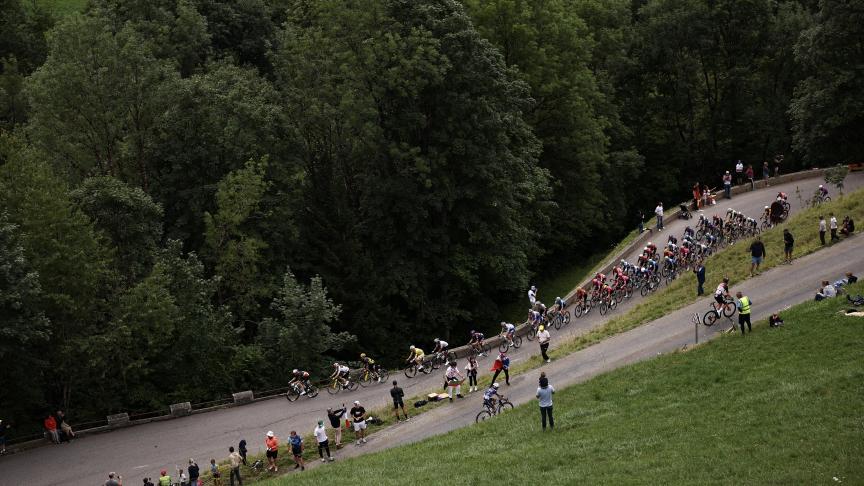 De rit van 25 juli in de Ronde van Frankrijk werdingekort en omgeleid omdat in een kudde runderen op de Col des Saisies een geval van nodulaire dermatose werd vastgesteld.