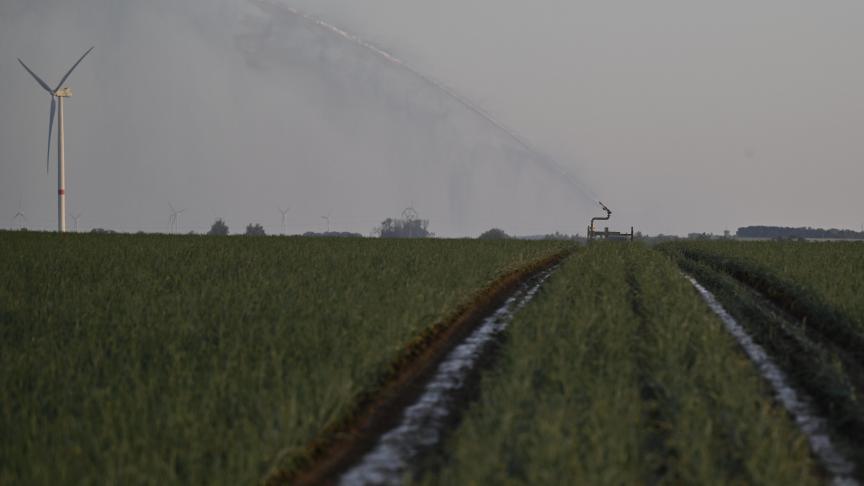 Moeten grondwaterwinningen met een jaardebiet kleiner dan 5.000 m3 in de toekomst toch een effectenbeoordeling ondergaan? Dat onderzoekt het Europees Hof van Justitie.