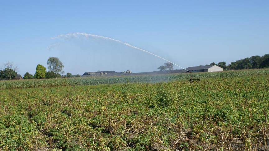 De Belgapomnotering voor vroege aardappelen blijft zeer laag deze week.