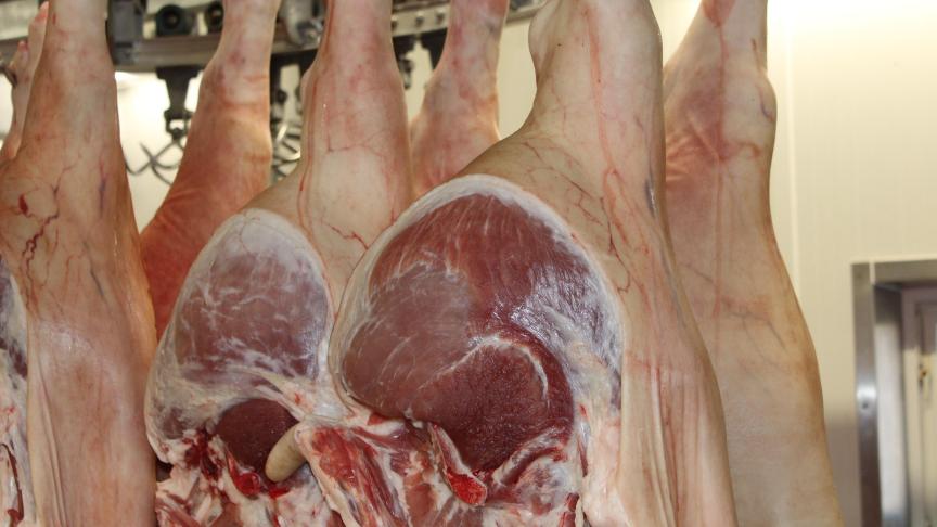Twaalf Britse bedrijven mogen de komende 5 jaar voor zowat 22 miljoen euro varkensvlees exporteren naar Mexico.