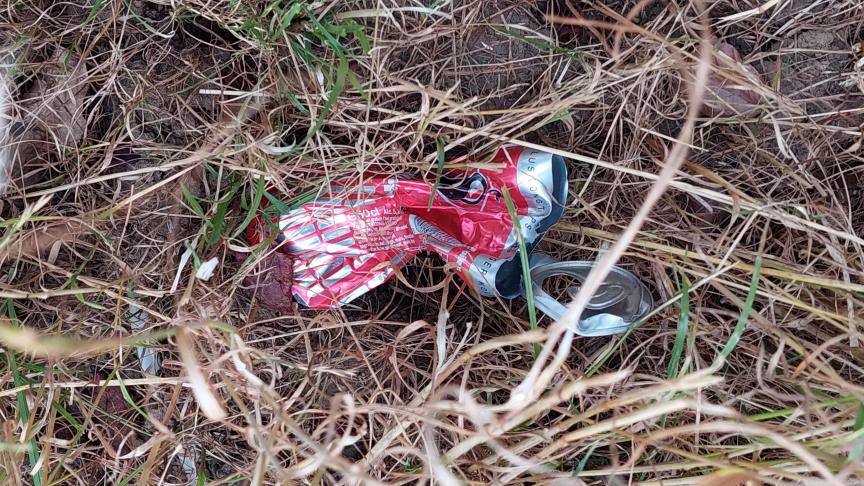 Volgens de Statiegeldalliantie belanden er tussen de 150 en 300 miljoen blikjes en flesjes als zwerfvuil in de Belgische natuur, langs weiden en velden en in straten.