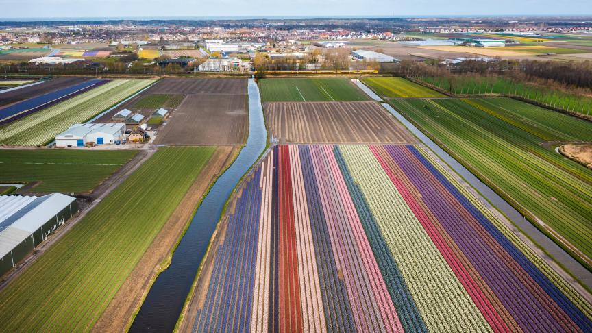 Bepaalde regio’s van Nederland behoren tot de duurste inzake landbouwgrondprijzen van de EU.
