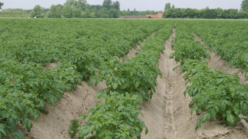 Op basis van uw eigendomsrecht beschikt u over een juridische grondslag om iedereen die zonder enige contractuele of andere basis uw eigendom bezet, te laten verbieden om uw eigendom nog te gebruiken.