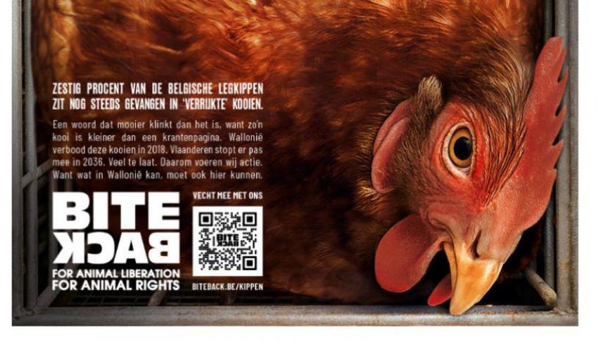 In deze advertentie van Bite Back staan onjuiste gegevens en wordt de consument misleid, meent de Landsbond Pluimvee.