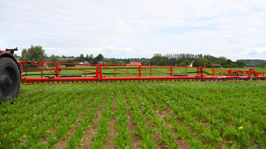 Met taakkaarten en de ‘spot spray’-techniek zijn er ook voor suikerbieten minder gewasbeschermingsmiddelen nodig.