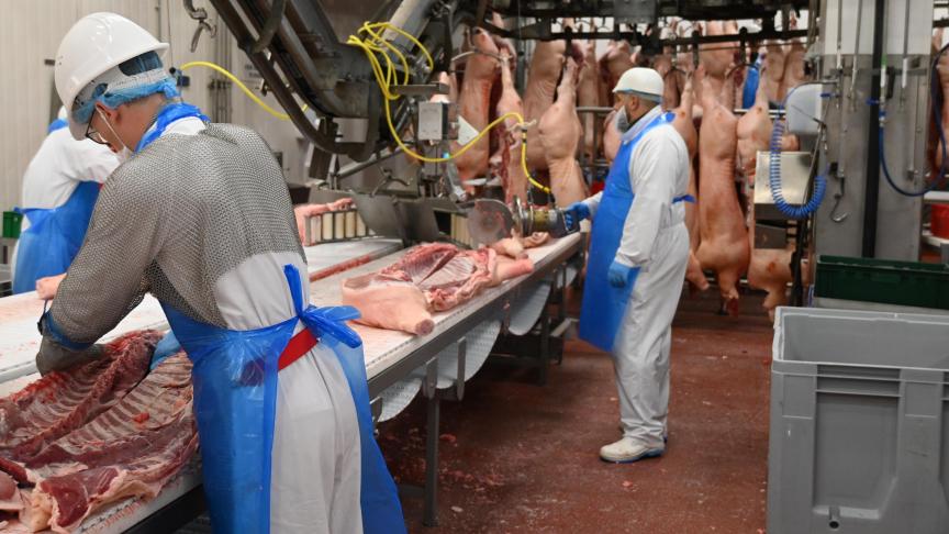 Met een slachtcapaciteit van 15.000 dieren wordt hier niet alleen geslacht en versneden, voor bepaalde klanten worden ook bereidingen gedaan.