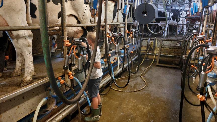 Uit het jaarrapport van brancheorganisatie MilkBE blijkt dat ze opnieuw belangrijke stappen zetten om de Belgische zuivelketen verder te versterken.