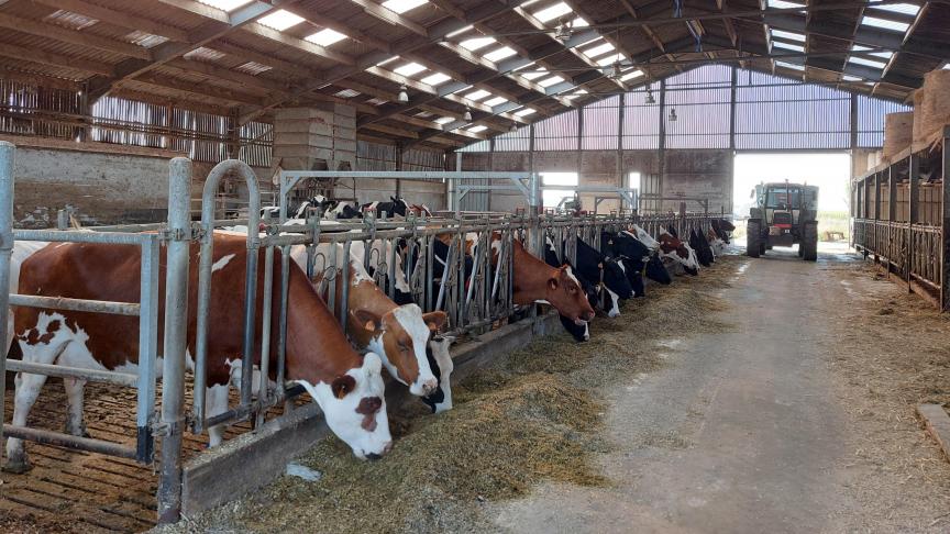 Vanaf 1 september verlopen alle aanvragen in verband met nutriëntenemissierechten (NER) helemaal digitaal.