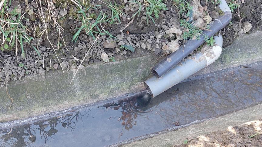 Je kunt niet langer een abstractie maken van het vele stikstofrijke afvalwater dat in ons oppervlaktewater geloosd wordt , stelt Mark Wulfrancke
