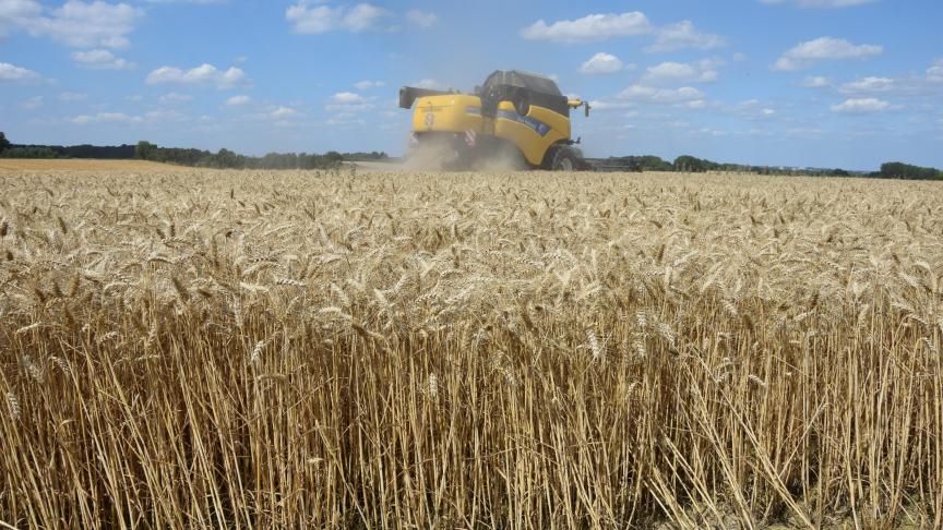 Het is de voorbije 6 maanden uitzonderlijk droog geweest in België.