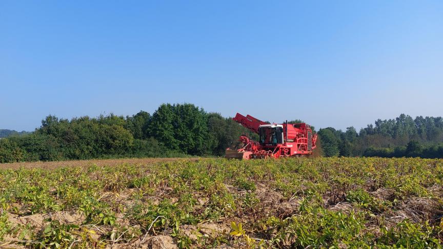 Aardappeltelershebben moeilijke maanden achter de rug en de nabije toekomst ziet er somber uit, stelt de NEPG