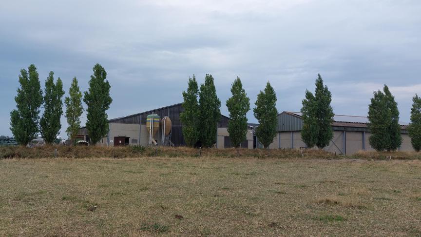 Door een ‘verouderde lijst’ te gebruiken ondermijnt minister Brouns de bescherming van de natuur, maar stort hij ook de landbouwsector in verdere chaos volgens Bond Beter Leefmilieu en Dryade.