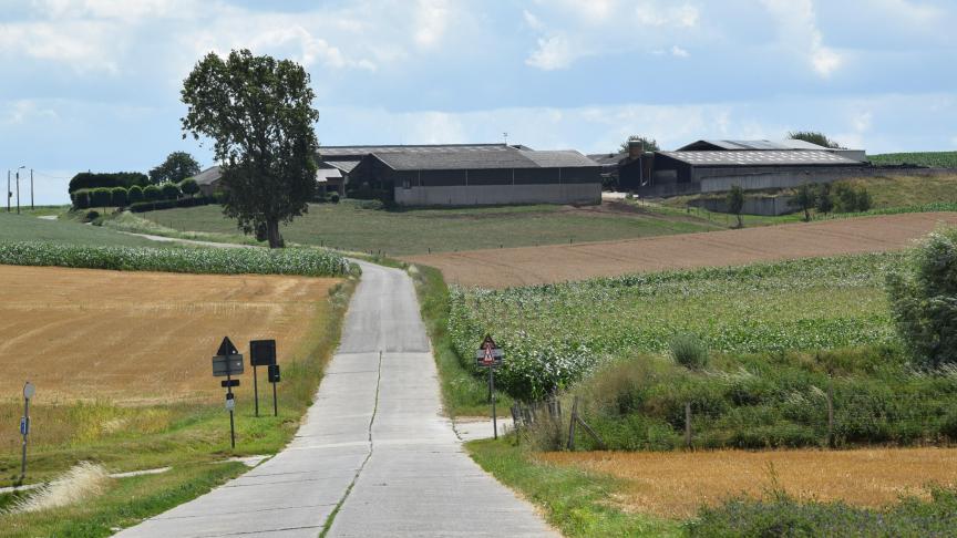 Het merendeel van de deelnemers aan de bevraging vindt dat de open ruimte moet dienen voor landbouw- en voedselproductie.