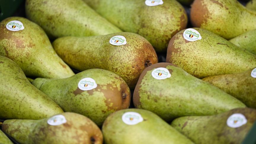 Minister van Landbouw Clarinval heeft zijn Japanse ambtgenoot opgeroepen om de onderhandelingen over de export van Belgische peren naar Japan weer op te pikken.