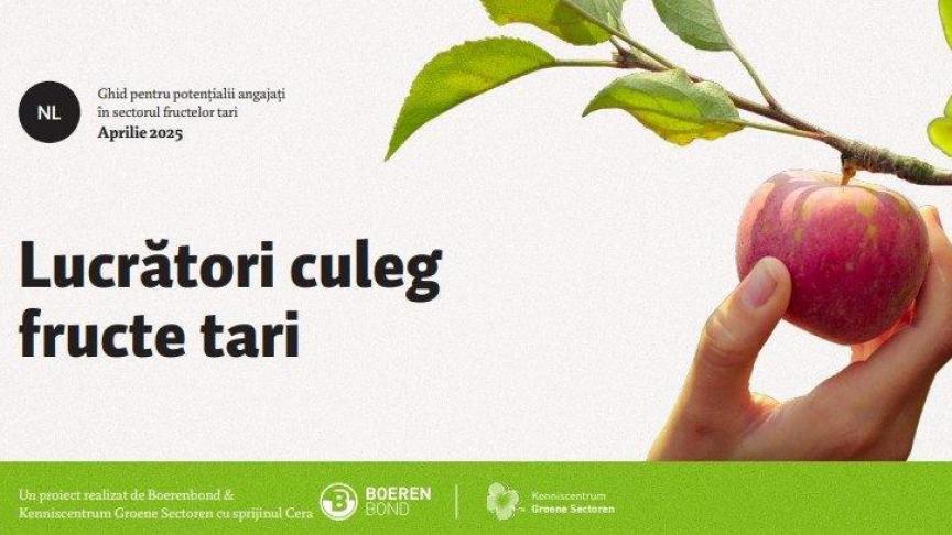 Om de pieken op te vangen doen land- en tuinbouwers in Vlaanderen jaarlijks beroep op zowat 60.000 seizoenarbeiders.