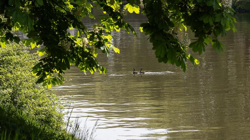 Grond- en oppervlaktewater staan steeds meer onder druk door droogtes, overstromingen en vervuiling.