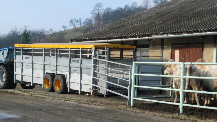 Diertransport naar landen waar blauwtong serotype 8 nog niet heeft toegeslagen wordt moeilijker nu België zijn ziektevrije status heeft verloren.