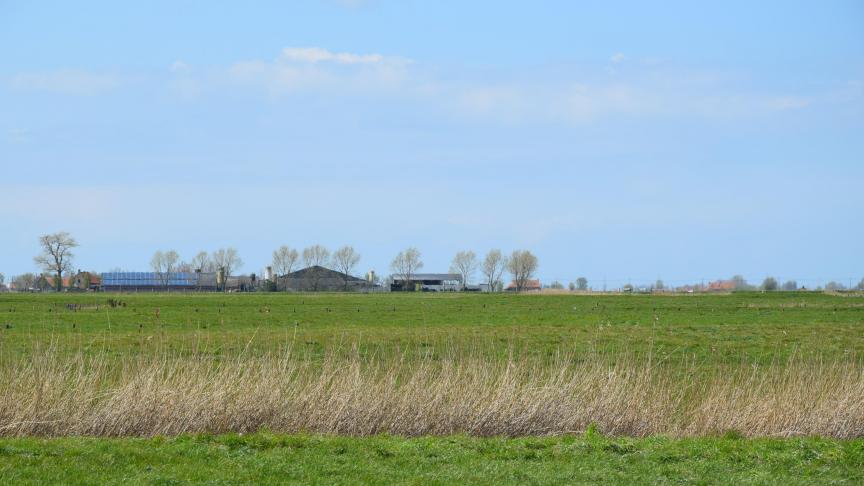 De commissie Landbouw van het Europees Parlement is het eens dat de definitie van blijvend grasland uitgebreid moet worden naar 7 jaar.