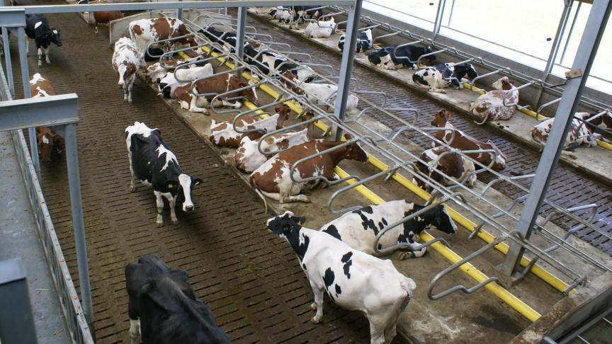 Boerenbond en ABS vinden dat de landbouw op te veel beperkingen botst om de uitstoot van verzurende gassen nog veel meer te verminderen.