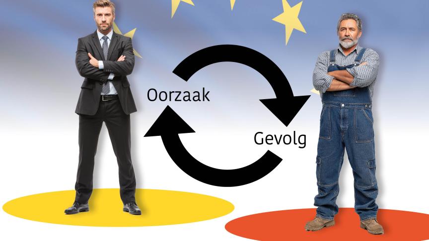 De Vlaamse overheid wil de gevolgen die ze zelf veroorzaakte, aanpakken.