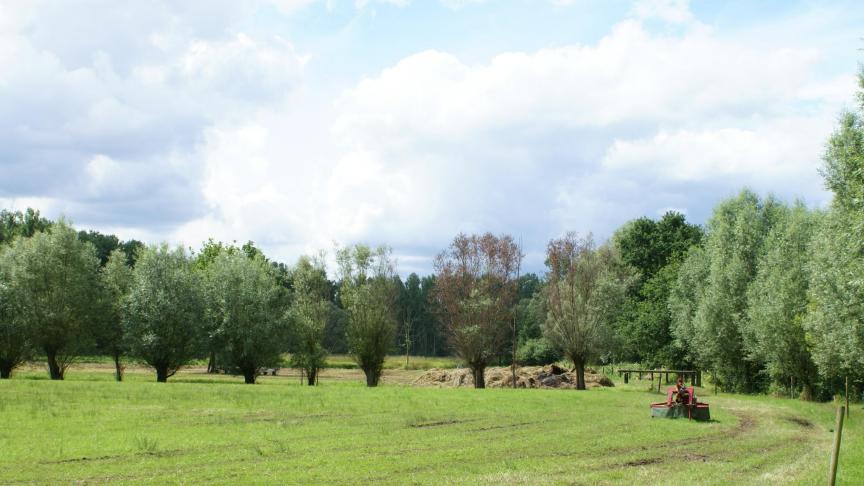 De Vlaamse Regering heeft enkele versoepelingen goedgekeurd voor de nulbemestingsregeling in de Speciale Beschermingszones van de Habitatrichtlijn (SBZ-H).