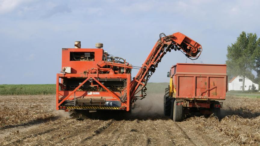 De Belgapomnotering voor vroege aardappelen blijft zeer laag deze week.